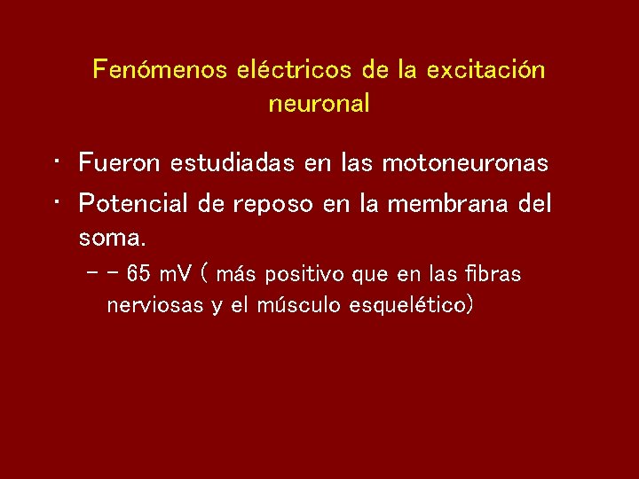 Fenómenos eléctricos de la excitación neuronal • Fueron estudiadas en las motoneuronas • Potencial