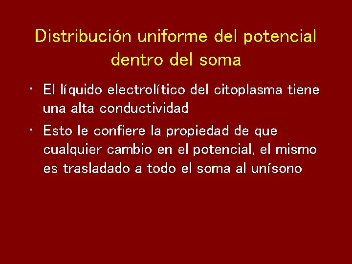 Distribución uniforme del potencial dentro del soma • El líquido electrolítico del citoplasma tiene