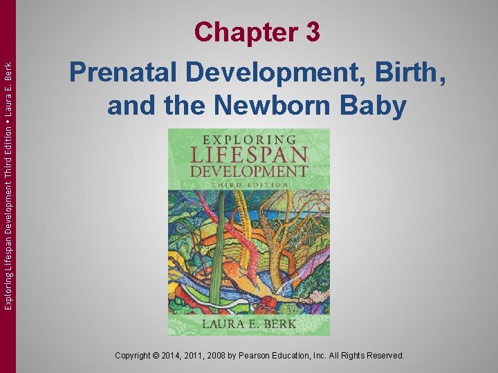 Exploring Lifespan Development Third Edition Laura E. Berk Chapter 3 Prenatal Development, Birth, and
