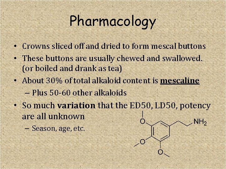 Pharmacology • Crowns sliced off and dried to form mescal buttons • These buttons