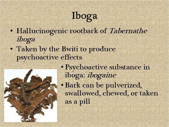 Iboga • Hallucinogenic rootbark of Tabernathe iboga • Taken by the Bwiti to produce