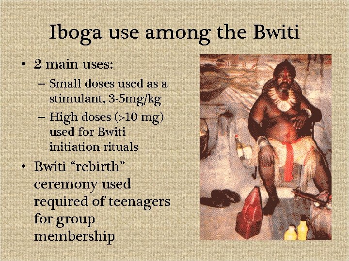 Iboga use among the Bwiti • 2 main uses: – Small doses used as