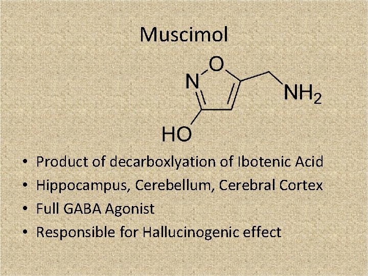 Muscimol • • Product of decarboxlyation of Ibotenic Acid Hippocampus, Cerebellum, Cerebral Cortex Full