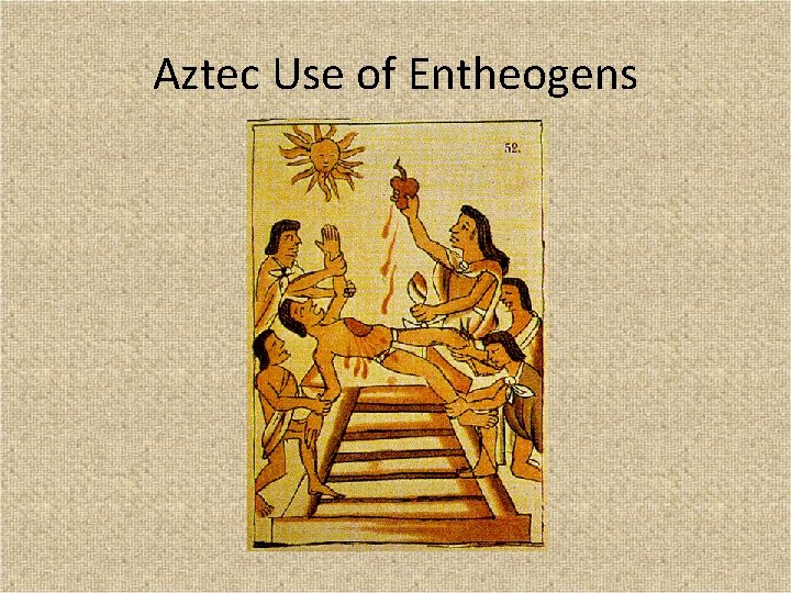 Aztec Use of Entheogens 