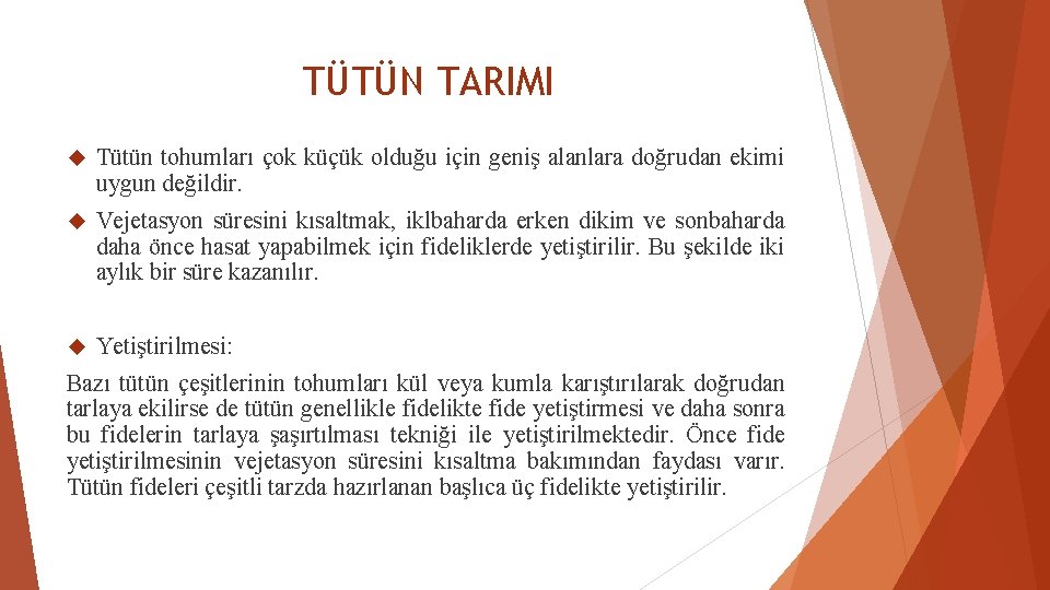 TÜTÜN TARIMI Tütün tohumları çok küçük olduğu için geniş alanlara doğrudan ekimi uygun değildir.