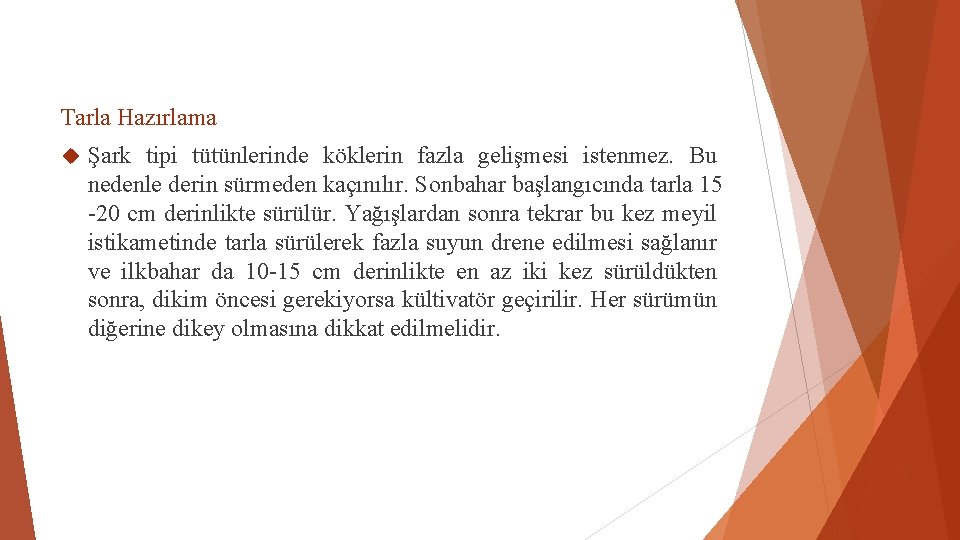 Tarla Hazırlama Şark tipi tütünlerinde köklerin fazla gelişmesi istenmez. Bu nedenle derin sürmeden kaçınılır.