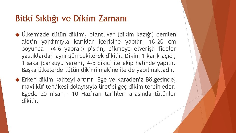 Bitki Sıklığı ve Dikim Zamanı Ülkemizde tütün dikimi, plantuvar (dikim kazığı) denilen aletin yardımıyla