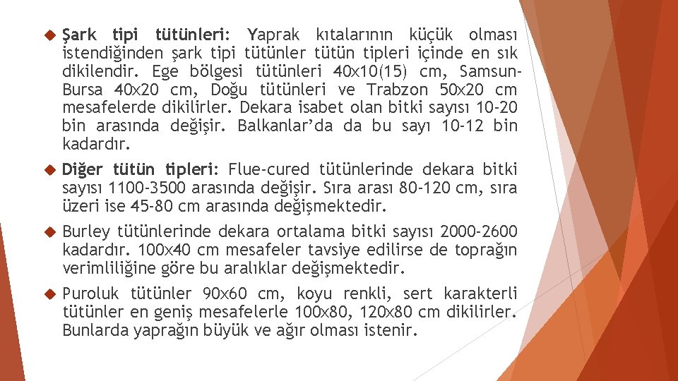 Şark tipi tütünleri: Yaprak kıtalarının küçük olması istendiğinden şark tipi tütünler tütün tipleri içinde