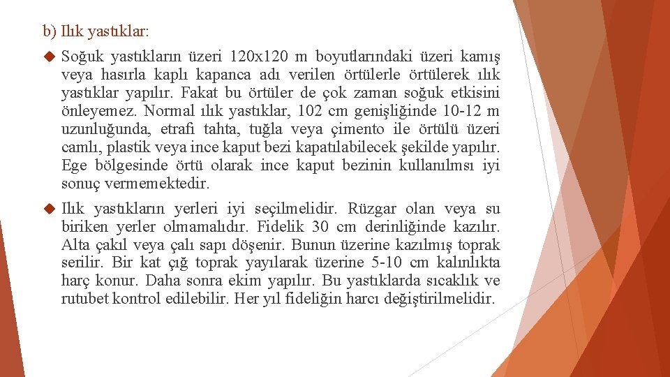 b) Ilık yastıklar: Soğuk yastıkların üzeri 120 x 120 m boyutlarındaki üzeri kamış veya