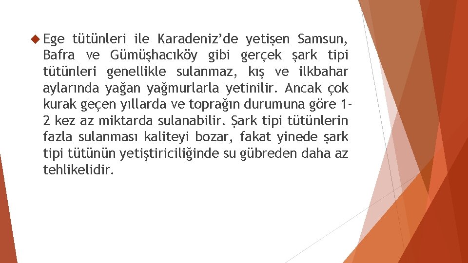  Ege tütünleri ile Karadeniz’de yetişen Samsun, Bafra ve Gümüşhacıköy gibi gerçek şark tipi