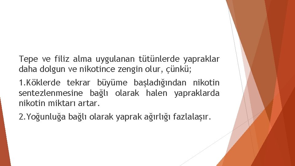 Tepe ve filiz alma uygulanan tütünlerde yapraklar daha dolgun ve nikotince zengin olur, çünkü;