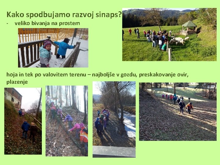 Kako spodbujamo razvoj sinaps? - veliko bivanja na prostem hoja in tek po valovitem