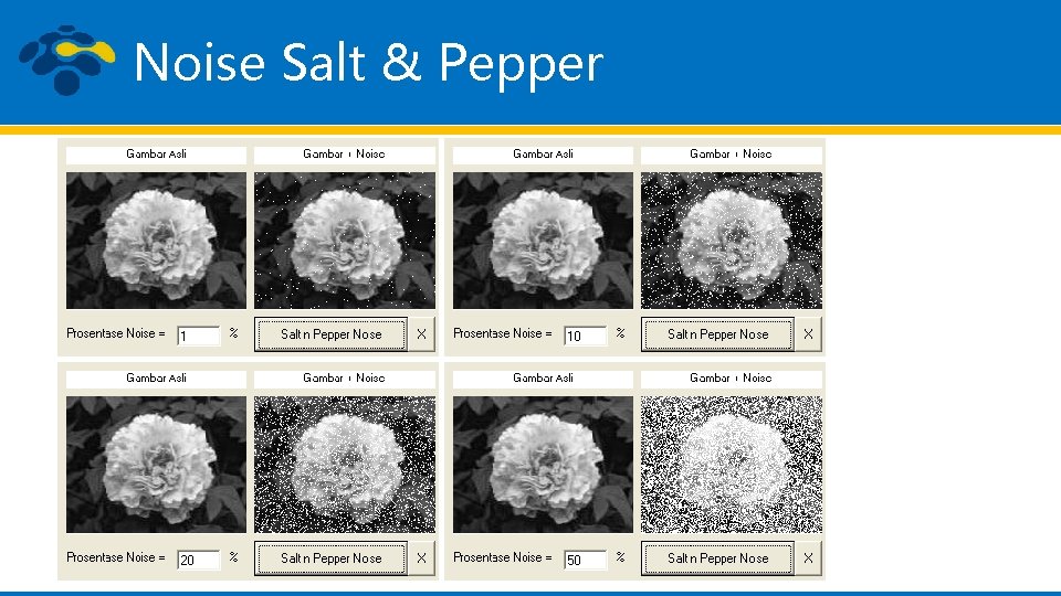 Noise Salt & Pepper 