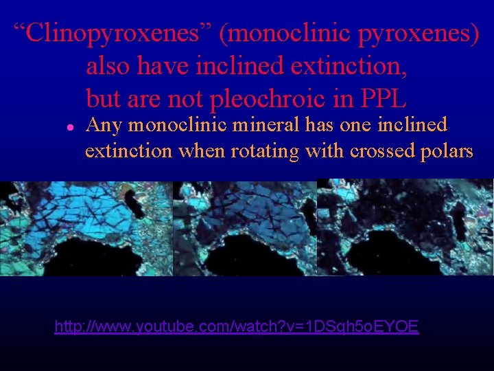 “Clinopyroxenes” (monoclinic pyroxenes) also have inclined extinction, but are not pleochroic in PPL l