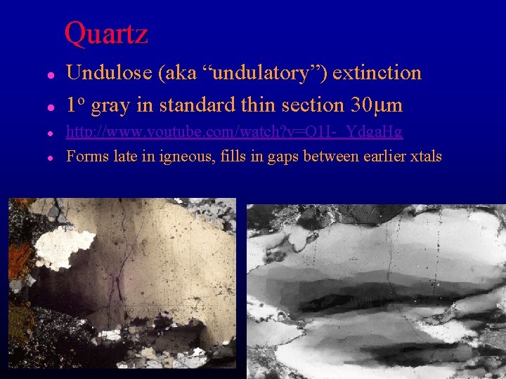 Quartz l l Undulose (aka “undulatory”) extinction 1 o gray in standard thin section