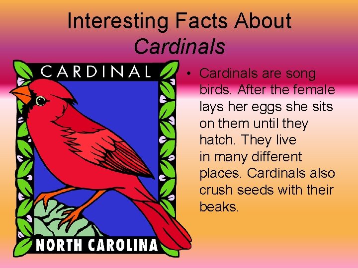 Meet and Learn About Cardinals Ashante Mrs Conway