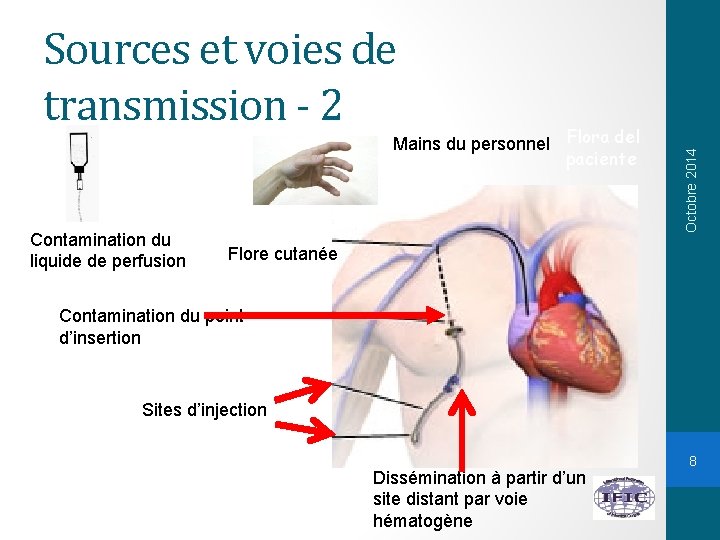 Mains du personnel Flora del paciente Contamination du liquide de perfusion Octobre 2014 Sources