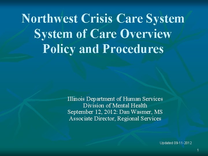 Northwest Crisis Care System of Care Overview Policy and Procedures Illinois Department of Human