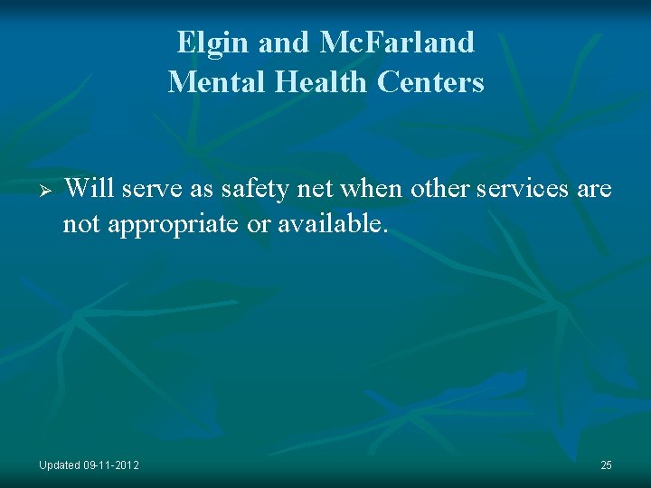 Elgin and Mc. Farland Mental Health Centers Ø Will serve as safety net when