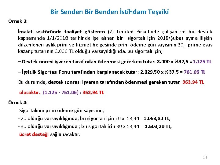 Bir Senden Bir Benden İstihdam Teşviki Örnek 3: İmalat sektöründe faaliyet gösteren (Z) Limited