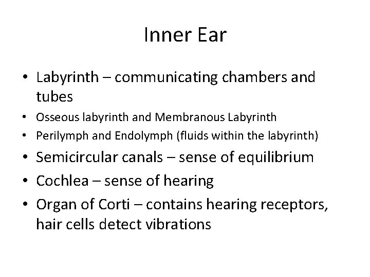 Inner Ear • Labyrinth – communicating chambers and tubes • Osseous labyrinth and Membranous