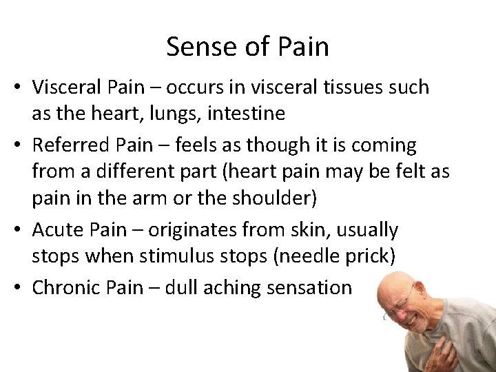 Sense of Pain • Visceral Pain – occurs in visceral tissues such as the