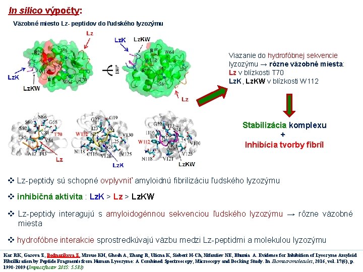 In silico výpočty: Väzobné miesto Lz- peptidov do ľudského lyzozýmu Viazanie do hydrofóbnej sekvencie