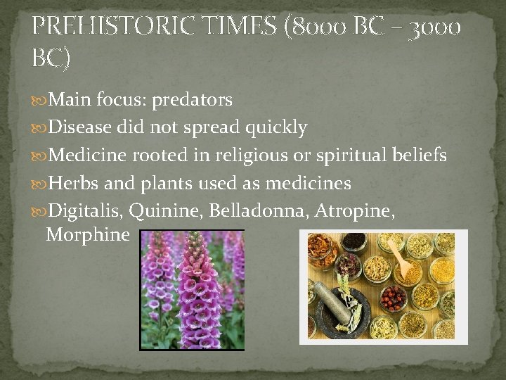 PREHISTORIC TIMES (8000 BC – 3000 BC) Main focus: predators Disease did not spread