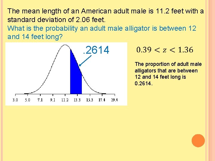 The mean length of an American adult male is 11. 2 feet with a
