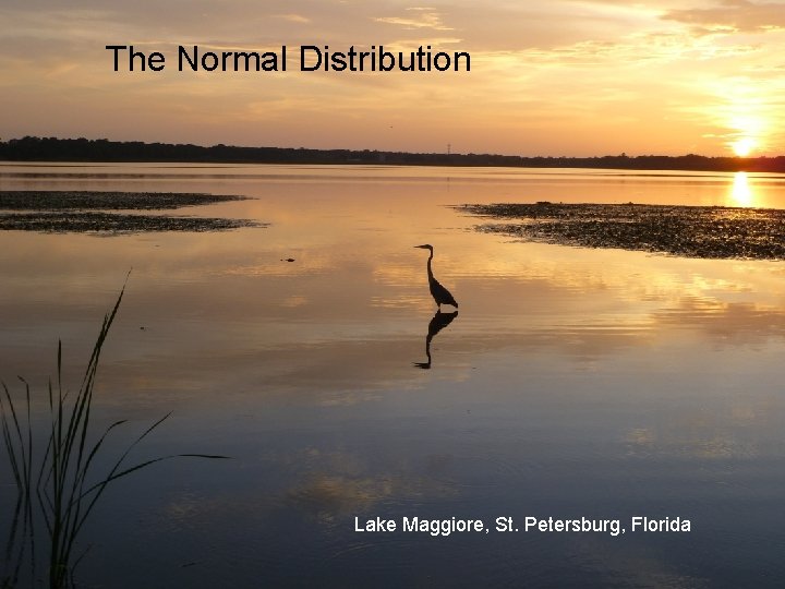 The Normal Distribution Lake Maggiore, St. Petersburg, Florida 