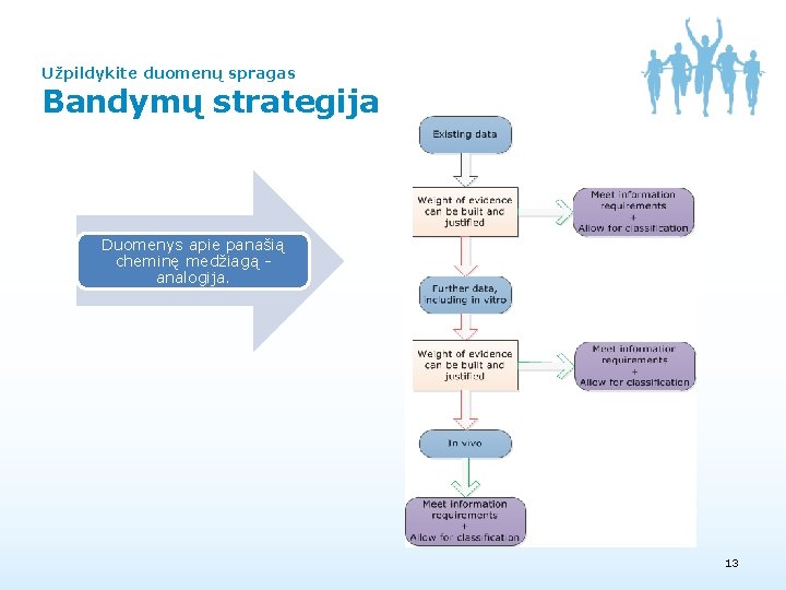 Užpildykite duomenų spragas Bandymų strategija Duomenys apie panašią cheminę medžiagą analogija. 13 