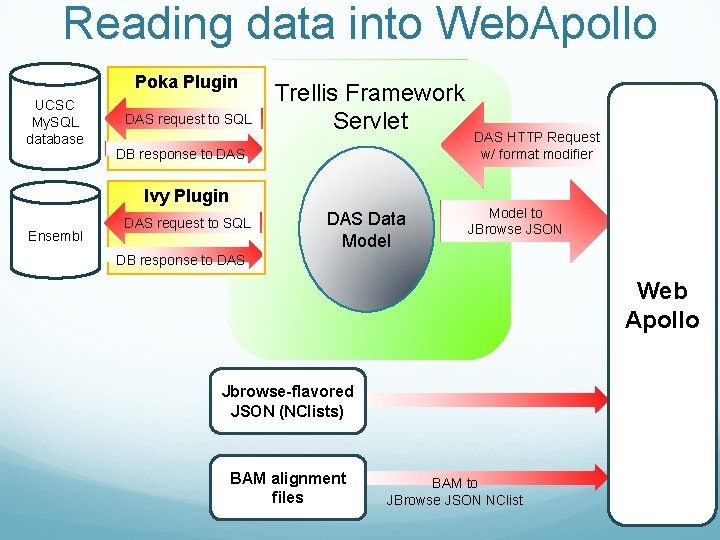 Reading data into Web. Apollo Poka Plugin UCSC My. SQL database DAS request to