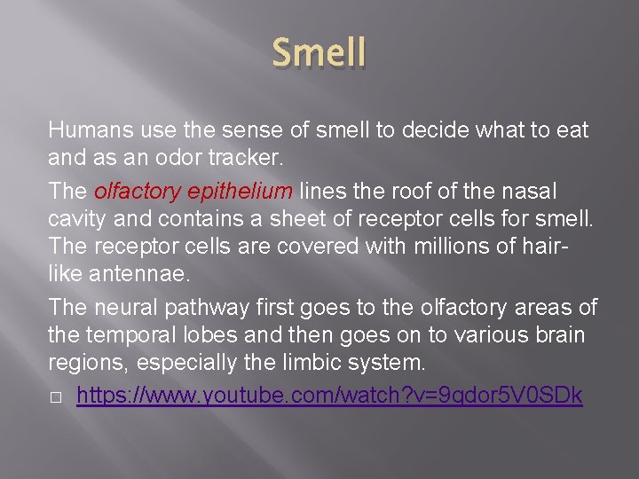 Smell Humans use the sense of smell to decide what to eat and as