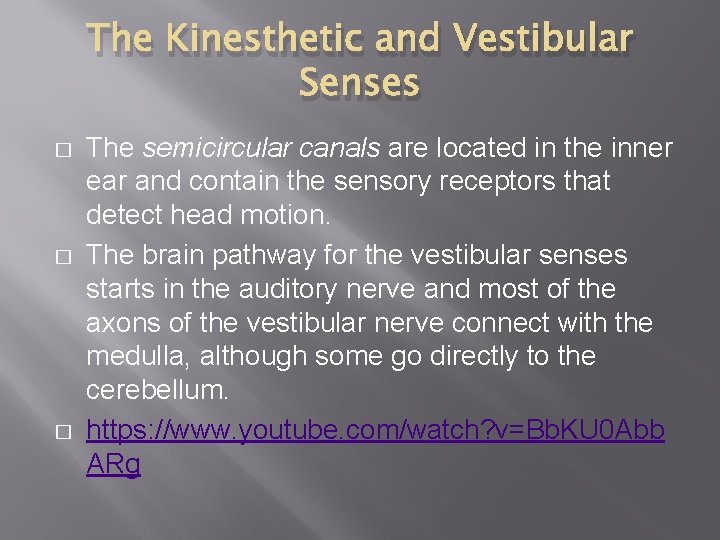 The Kinesthetic and Vestibular Senses � � � The semicircular canals are located in