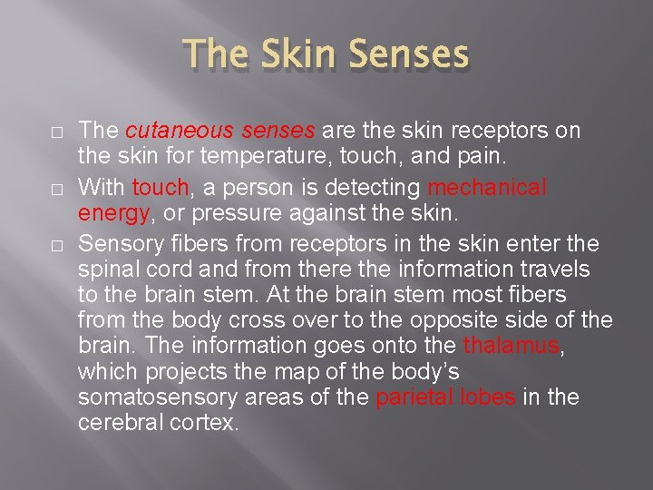The Skin Senses � � � The cutaneous senses are the skin receptors on