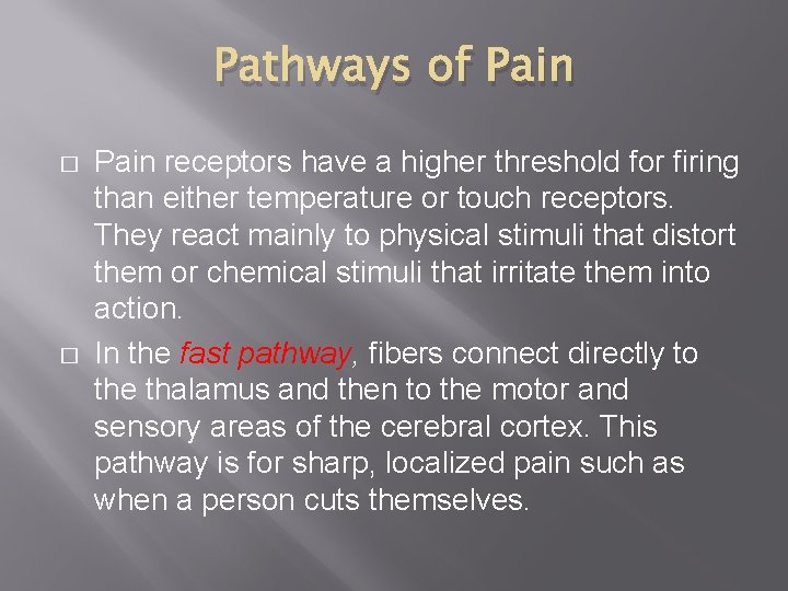 Pathways of Pain � � Pain receptors have a higher threshold for firing than