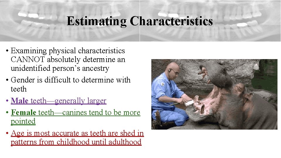 Estimating Characteristics • Examining physical characteristics CANNOT absolutely determine an unidentified person’s ancestry •
