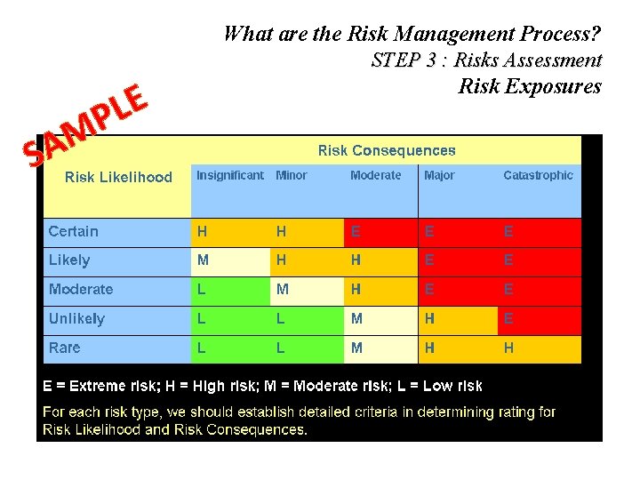 S M A E L P What are the Risk Management Process? STEP 3