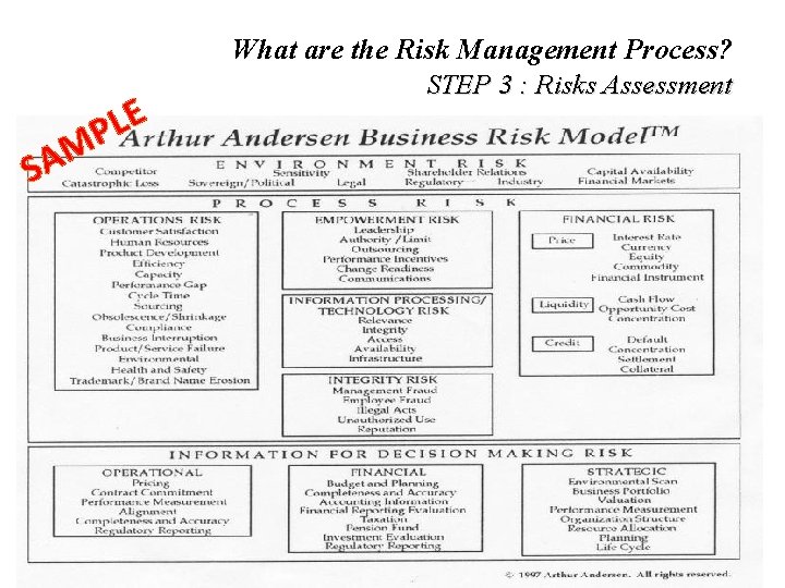 M A S E L P What are the Risk Management Process? STEP 3
