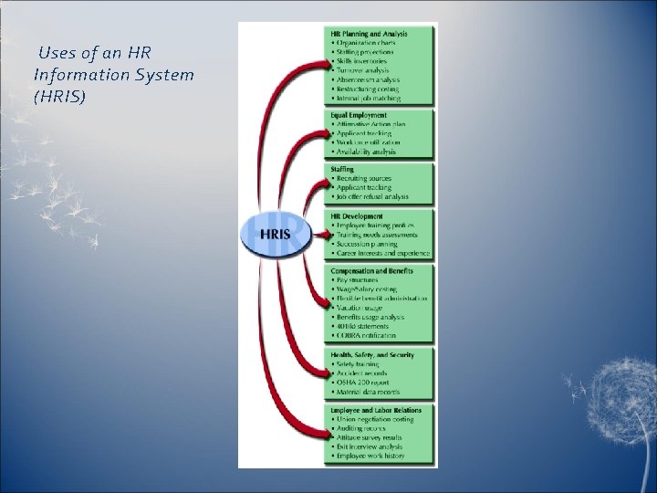 Uses of an HR Information System (HRIS) 