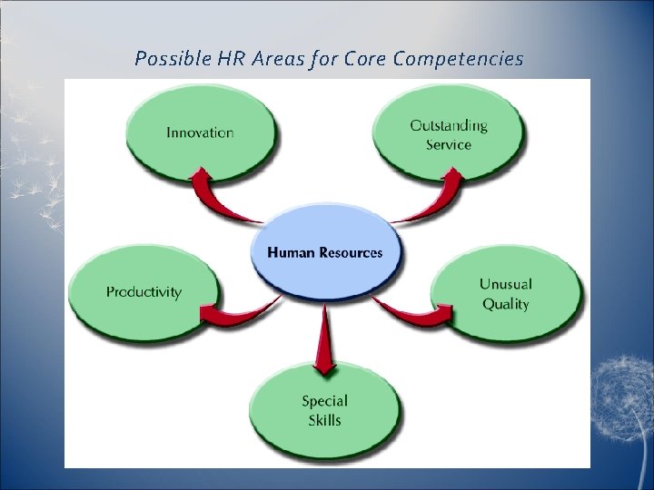 Possible HR Areas for Core Competencies 