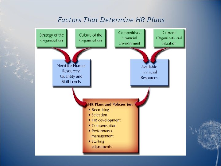 Factors That Determine HR Plans 