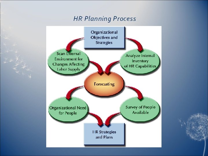 HR Planning Process 
