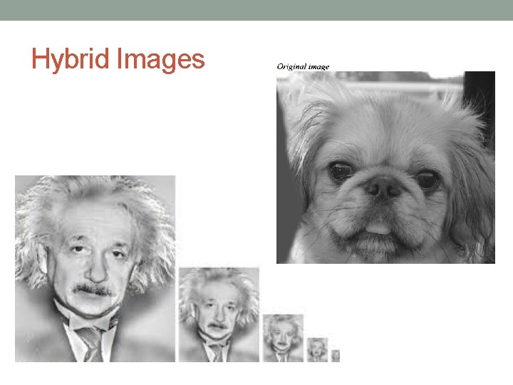 Hybrid Images 