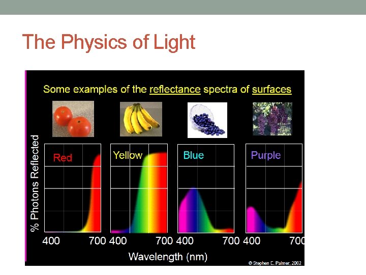 The Physics of Light 