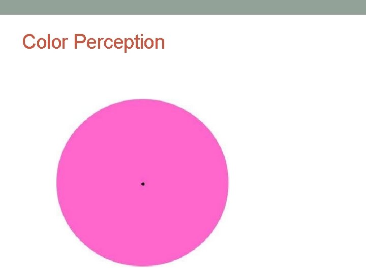 Color Perception 