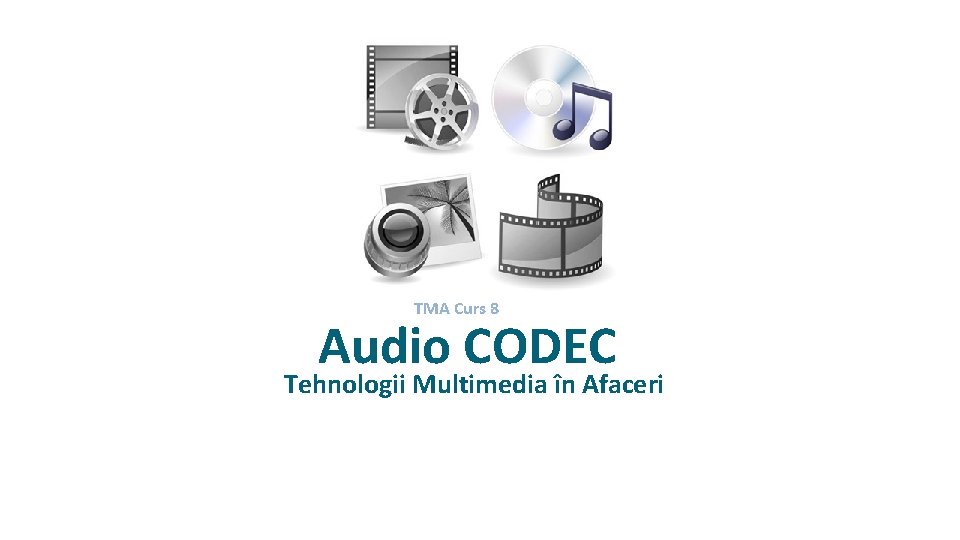 TMA Curs 8 Audio CODEC Tehnologii Multimedia în Afaceri 