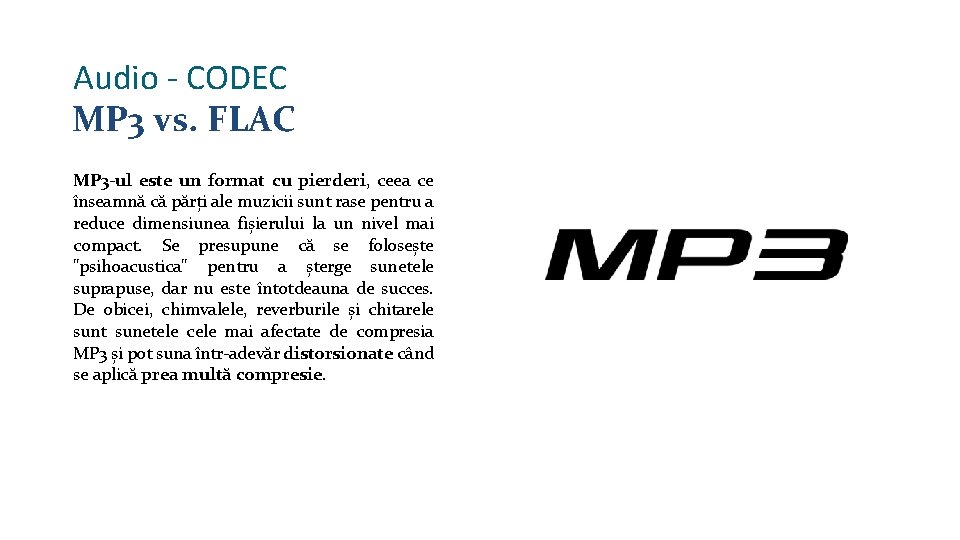 Audio - CODEC MP 3 vs. FLAC MP 3 -ul este un format cu