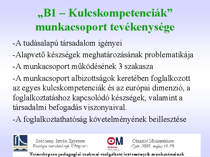 „B 1 – Kulcskompetenciák” munkacsoport tevékenysége -A tudásalapú társadalom igényei -Alapvető készségek meghatározásának problematikája