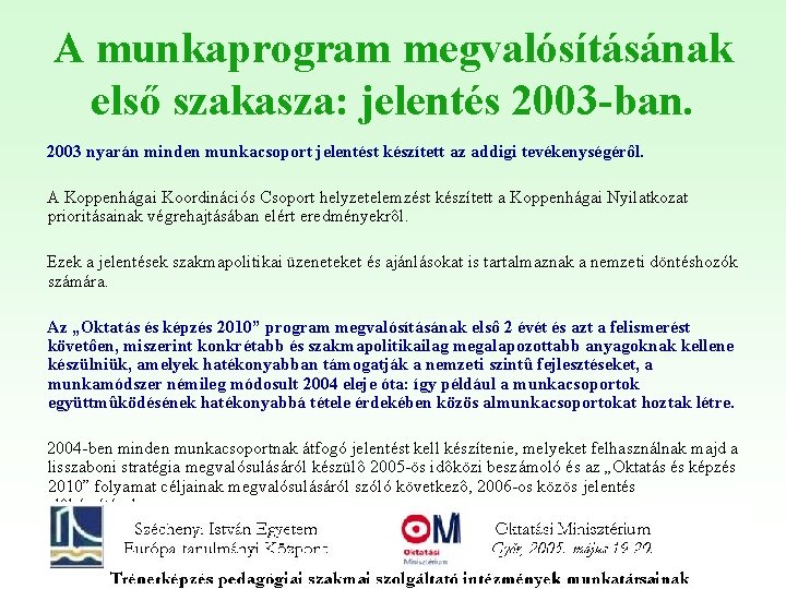 A munkaprogram megvalósításának első szakasza: jelentés 2003 -ban. 2003 nyarán minden munkacsoport jelentést készített